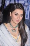 Actress Hansika Motwani 5328