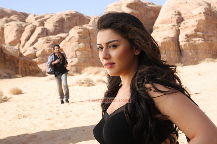 Actress Hansika Motwani 7528