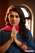 Actress Hansika Motwani 9845