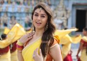 Actress Hansika Motwani Photos 2853