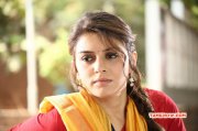 Dec 2014 Picture Indian Actress Hansika Motwani 2028