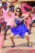 Film Actress Hansika Motwani New Wallpapers 3640