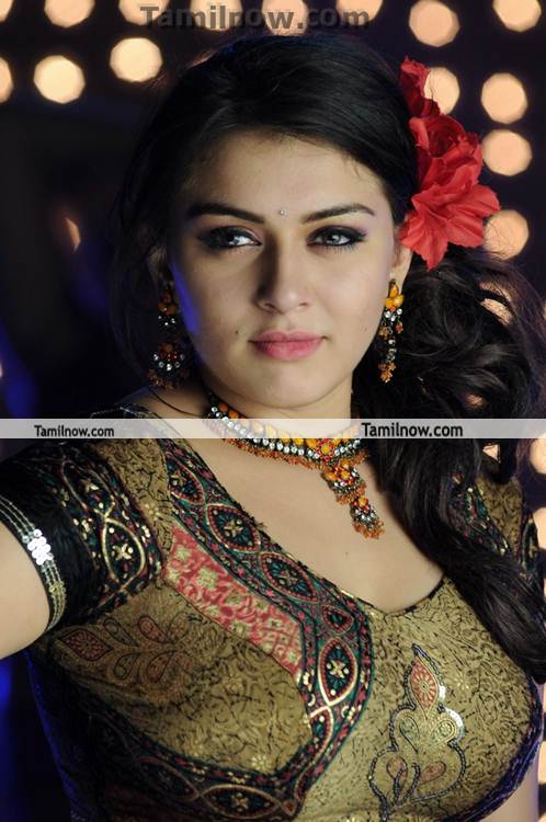 Hansika Motwani New Hot Still 4