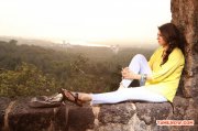 Hansika Motwani Photos 2937