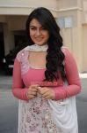 Hansika Motwani Photos 5077