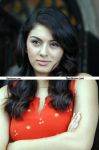 Hansika Motwani Photos 8