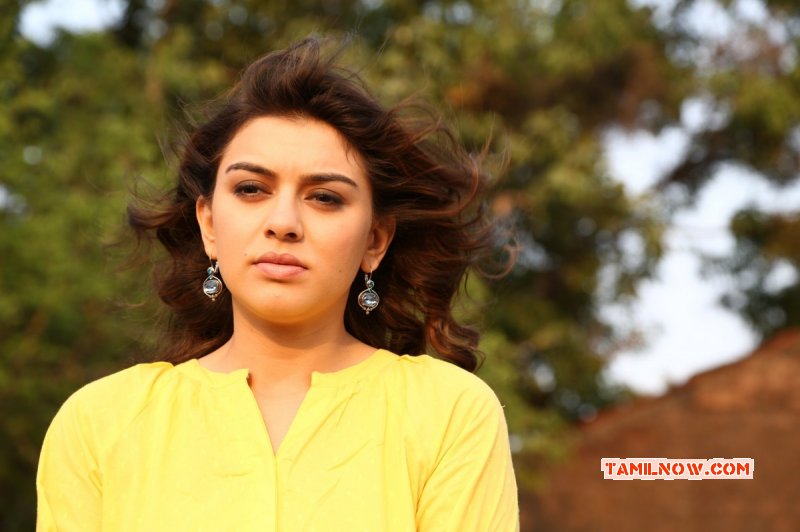 Hansika Motwani Recent Photo 7958