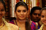 Hansika Motwani Stills 2877