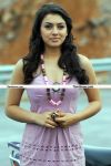 Hansika Stills0011