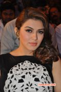 New Picture Tamil Actress Hansika Motwani 1009