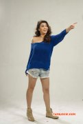 New Wallpapers South Actress Hansika Motwani 1244