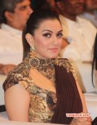 Recent Images Hansika Motwani Movie Actress 7483