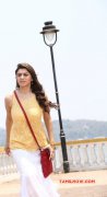 Recent Pictures Hansika Motwani Heroine 4838