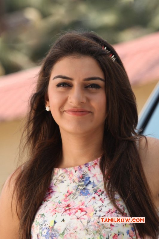 Recent Wallpapers Hansika Motwani 6523