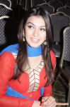 Tamil Actress Hansika Motwani 1134