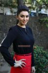 Tamil Actress Hansika Motwani 8131