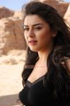 Tamil Actress Hansika Motwani Photos 4882