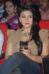 Tamil Actress Hansika Pic 96