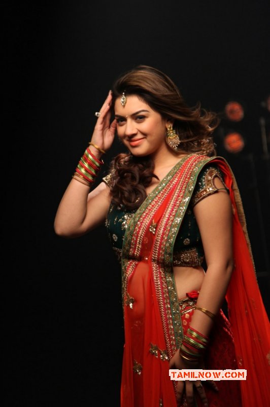 Wallpaper Hansika Motwani Tamil Movie Actress 9621