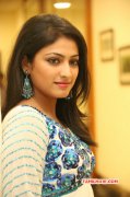 2014 Albums Indian Actress Haripriya 872