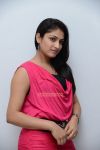 Actress Haripriya 292