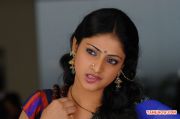 Actress Haripriya 4335