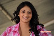 Dec 2014 Photos Indian Actress Haripriya 5559