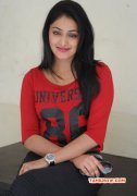 Haripriya Film Actress Recent Galleries 9652