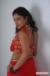 Haripriya Stills 2041