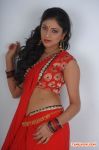 Haripriya Stills 4020