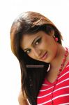 Haripriya Stills 7314