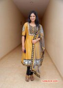 Latest Galleries Cinema Actress Haripriya 1048