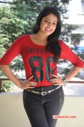 Photos Tamil Movie Actress Haripriya 7937