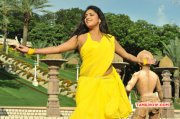 Recent Wallpaper Haripriya Movie Actress 2451