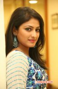 South Actress Haripriya 2014 Photo 6702