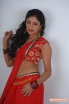 Tamil Actress Haripriya 1592