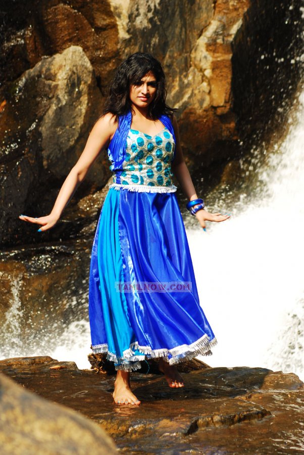 Tamil Actress Haripriya 4660