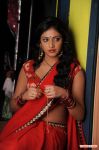 Tamil Actress Haripriya Photos 3054