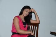 Tamil Actress Haripriya Photos 5416