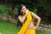 Tamil Actress Haripriya Photos 6961