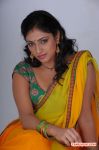 Tamil Actress Haripriya Photos 8582