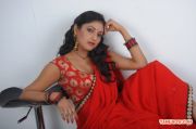 Tamil Actress Haripriya Photos 906