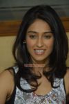 Actress Ileana 2499