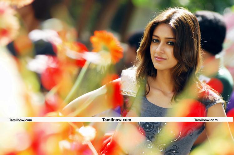 Actress Ileana New Still 4