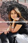 Actress Ileana New Still 8