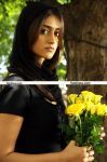 Actress Ileana New Still 9