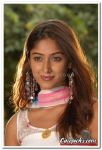 Ileana Still 01