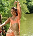 Tamil Actress Ileana Photos 8175