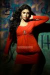 Actress Iniya Photos 7589