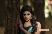 Cinema Actress Iniya Recent Wallpaper 3456